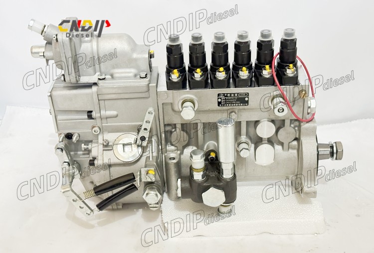 High quality CNDIP Diesel Common Fuel Injection Pump BH6PA110 for Weichai deutz Engine