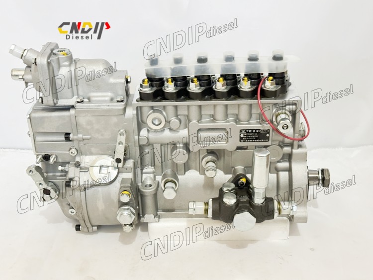 CNDIP Fuel Injection Pump BH6P110 P10Z005 for Engine C6121ZG57 Diesel